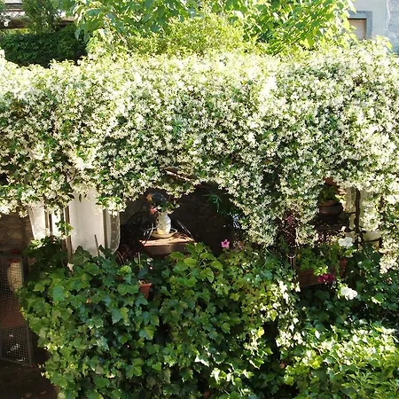 Frantoro - Turistico - Appartement